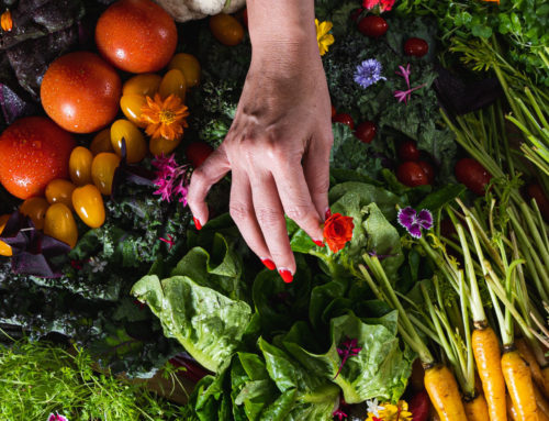 Savour a Harvest-to-Plate Meal at Scarlett Bangkok