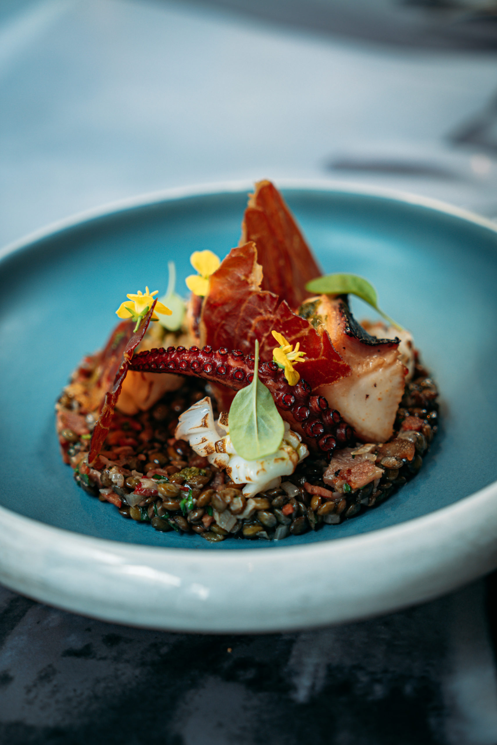 Spanish octopus