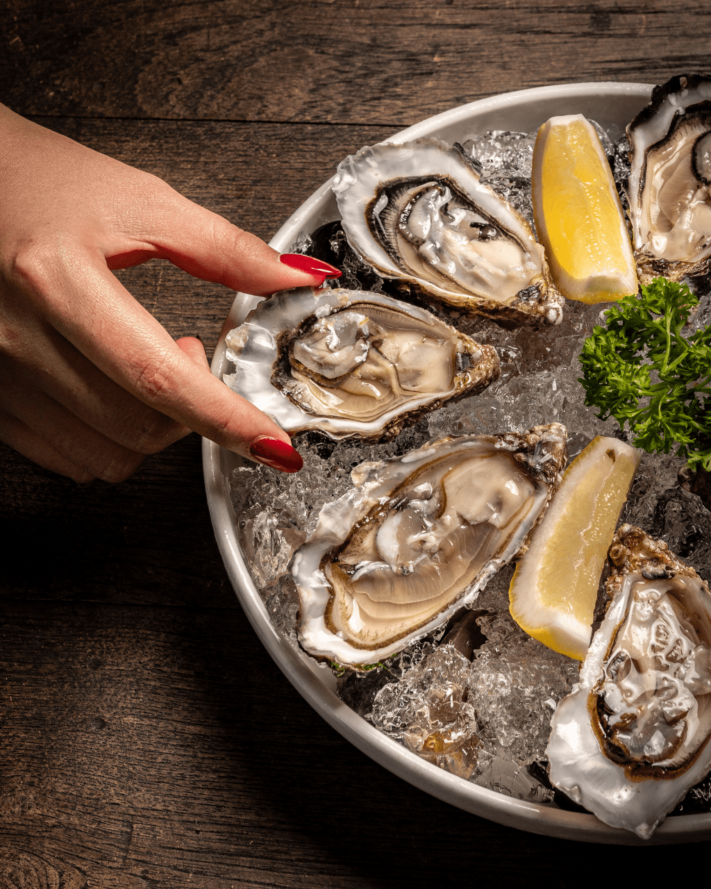 Oysters in Porto | Food & Drinks Special in Porto