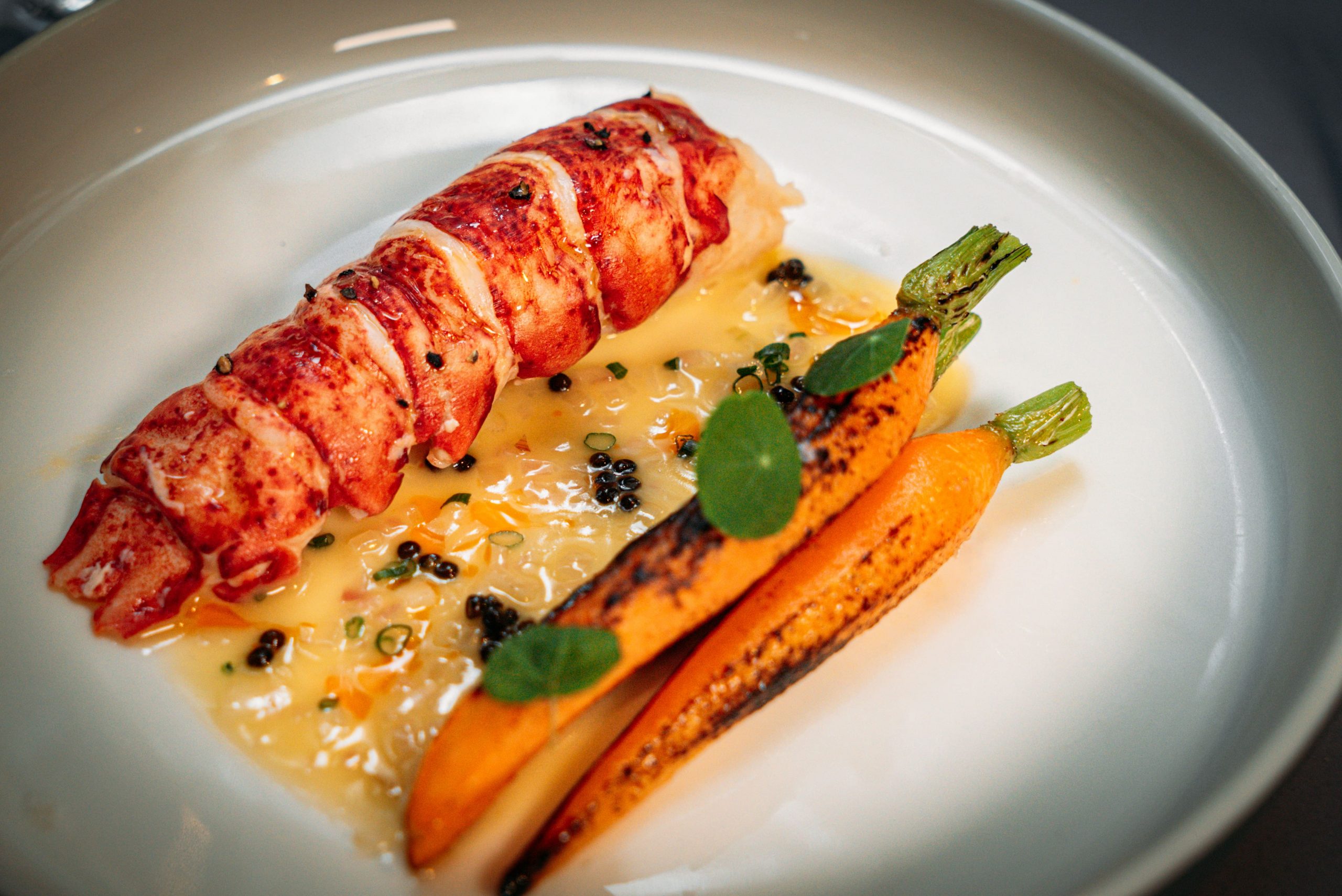 ScarlettLobster-055 (2) Butter Poached Lobster Tail