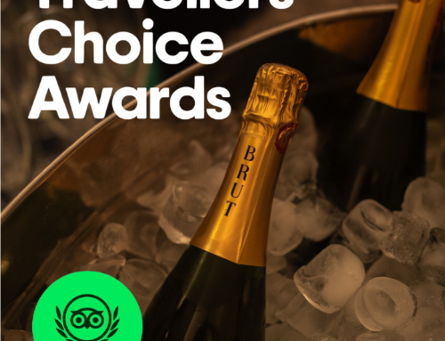 Recognised by Travellers’ Choice Awards
