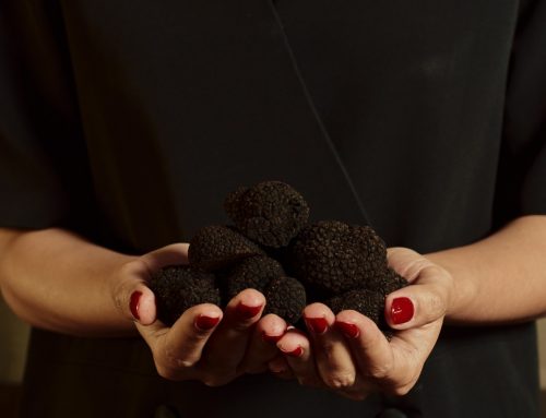 The Mystique of Truffles