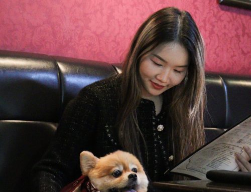 PET-FRIENDLY