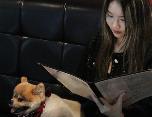 PET-FRIENDLY
