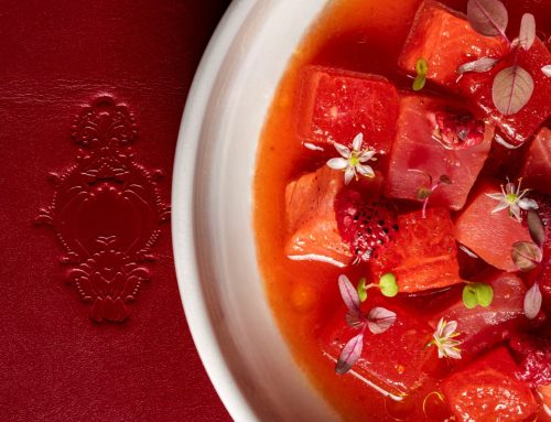 SAVOUR THE SEASON